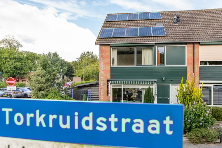 Foto 5 van Torkruidstraat 37