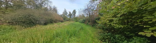 Bekijk 360° foto van Achtertuin van Kasteelselaan 24