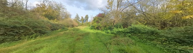 Bekijk 360° foto van Achtertuin van Kasteelselaan 24