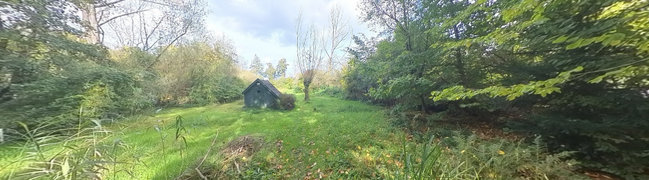 Bekijk 360° foto van Achtertuin van Kasteelselaan 24