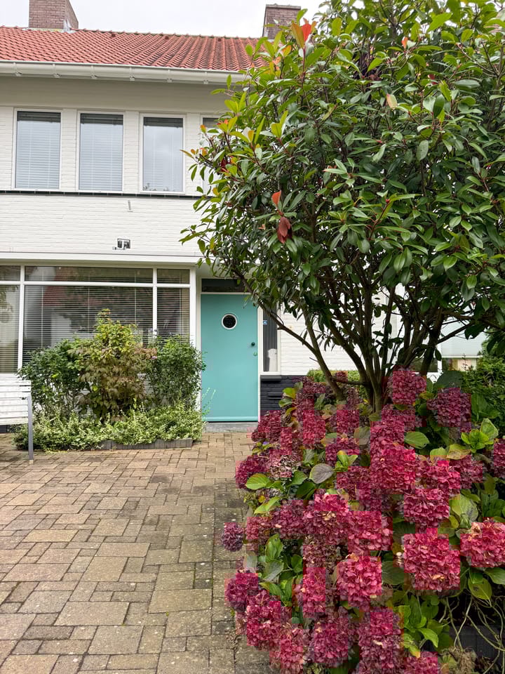 Foto 5 van Petrus Dondersstraat 27