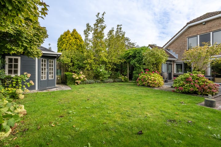 Foto 2 van Bromelia 12