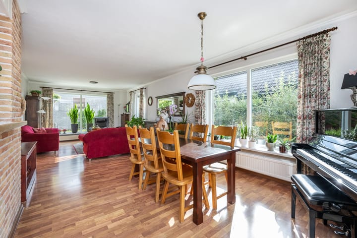 Foto 3 van Bromelia 12