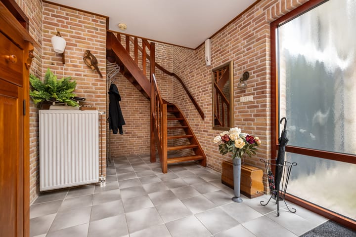 Foto 5 van Bromelia 12