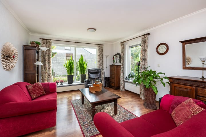 Foto 9 van Bromelia 12