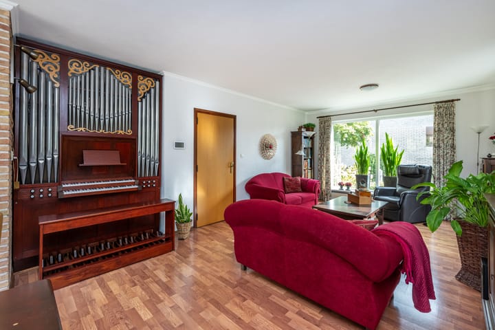 Foto 10 van Bromelia 12