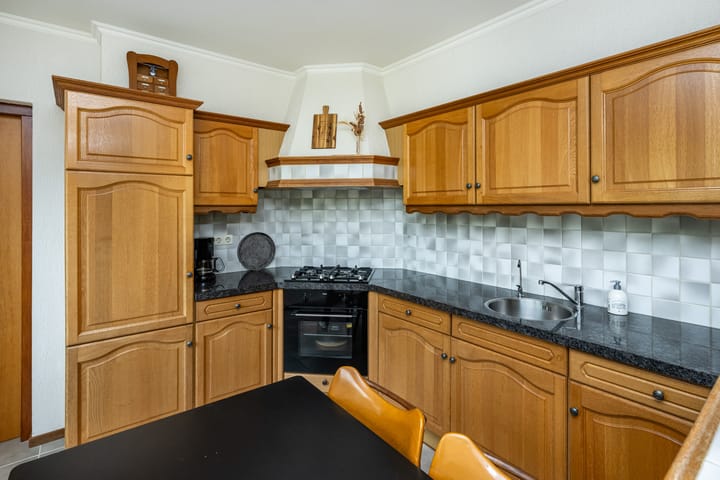 Foto 12 van Bromelia 12