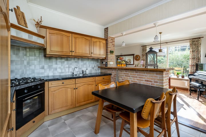 Foto 13 van Bromelia 12