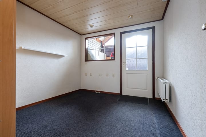 Foto 14 van Bromelia 12