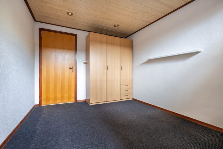 Foto 15 van Bromelia 12