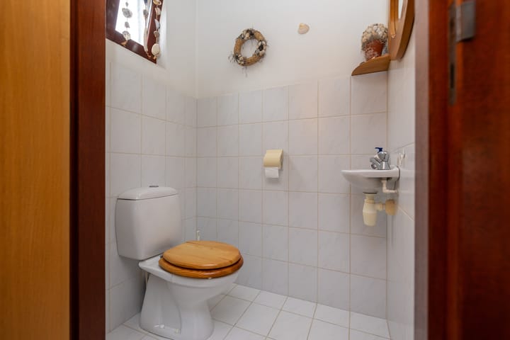 Foto 17 van Bromelia 12