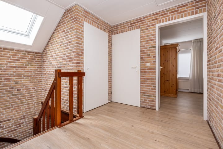 Foto 18 van Bromelia 12