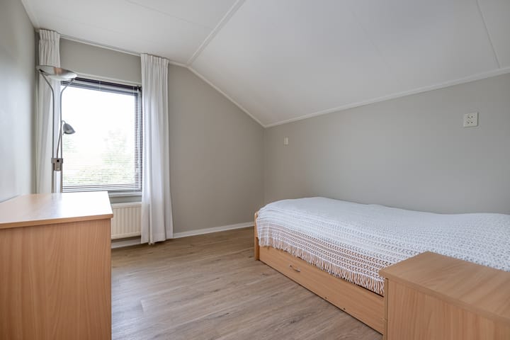 Foto 20 van Bromelia 12