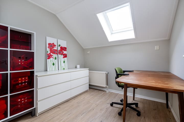 Foto 22 van Bromelia 12