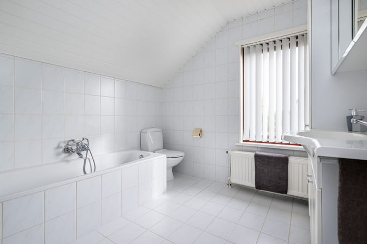 Foto 23 van Bromelia 12