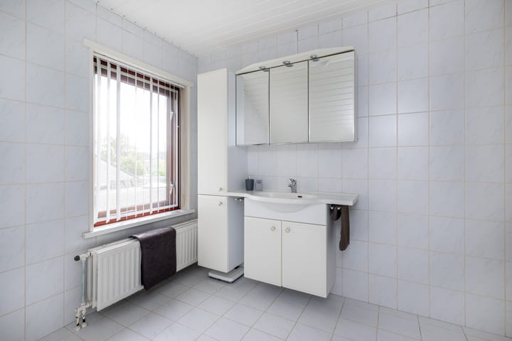 Foto 24 van Bromelia 12