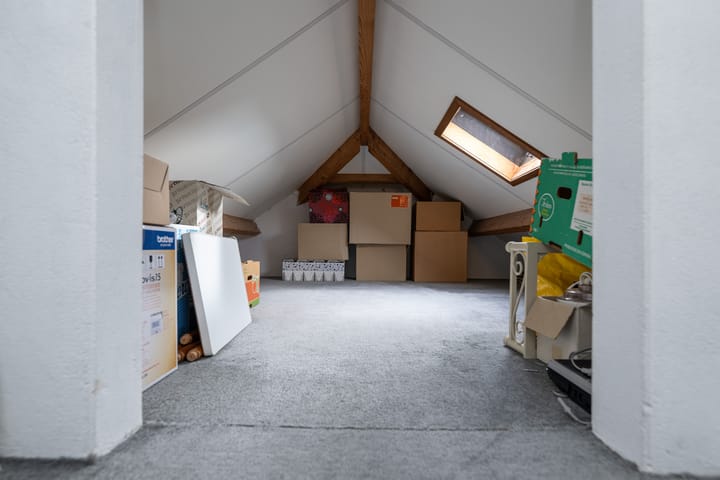 Foto 26 van Bromelia 12