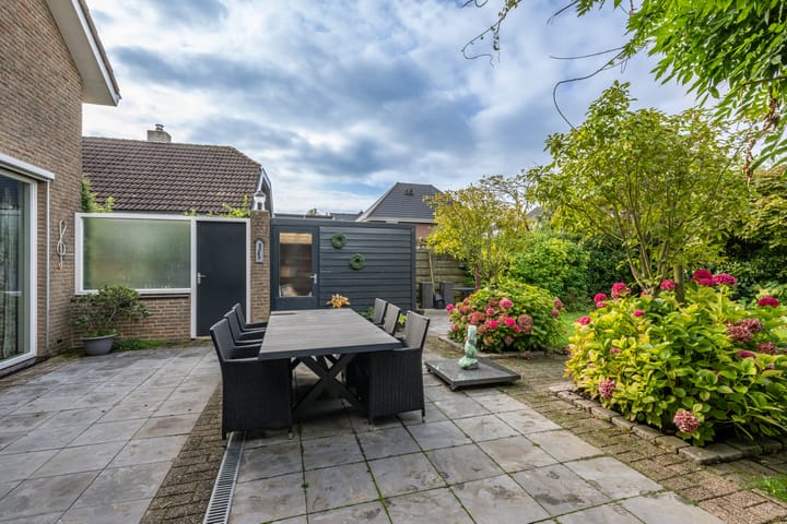 Foto 27 van Bromelia 12