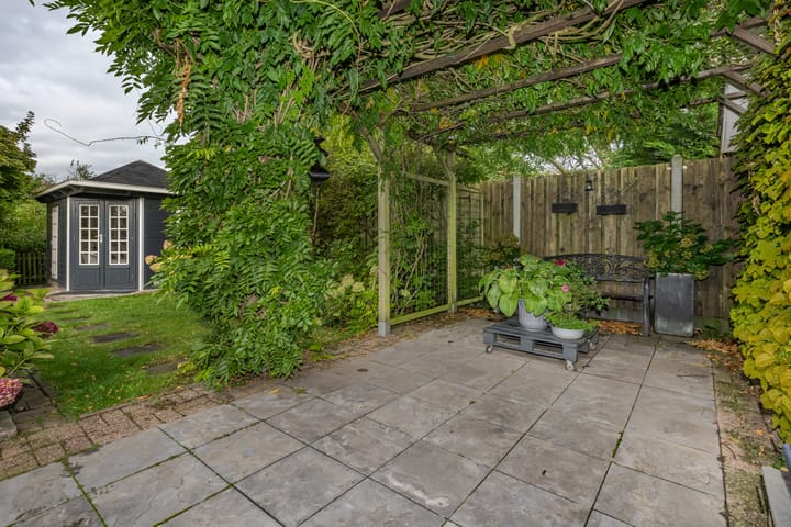 Foto 28 van Bromelia 12