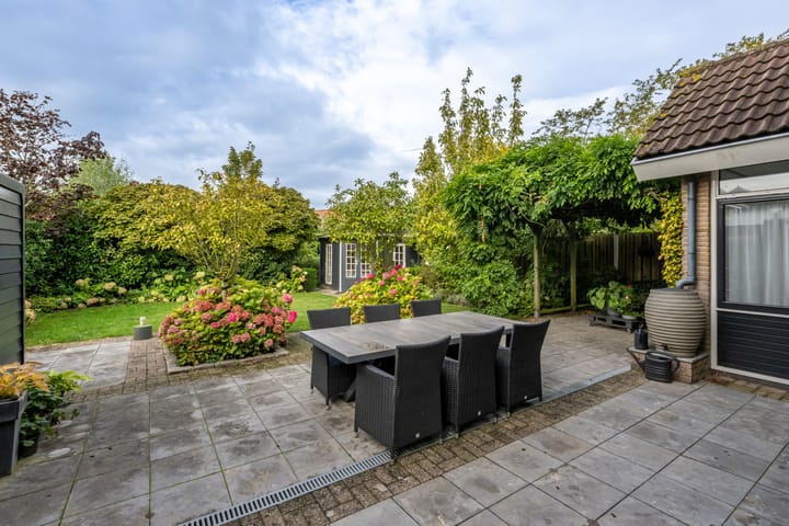 Foto 30 van Bromelia 12