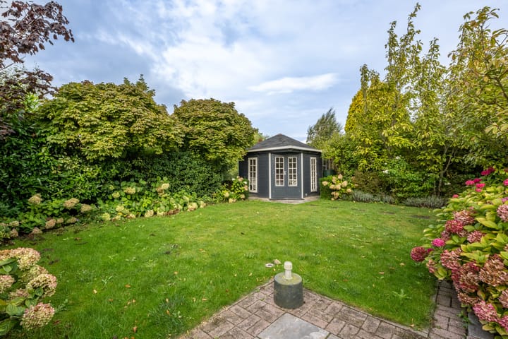 Foto 31 van Bromelia 12