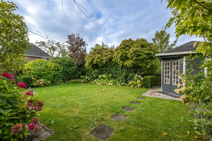 Foto 32 van Bromelia 12