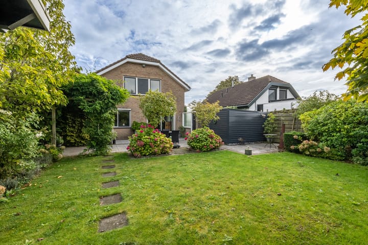 Foto 33 van Bromelia 12