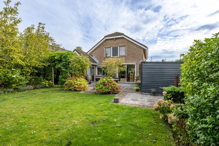 Foto 34 van Bromelia 12