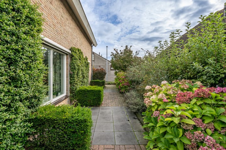 Foto 37 van Bromelia 12