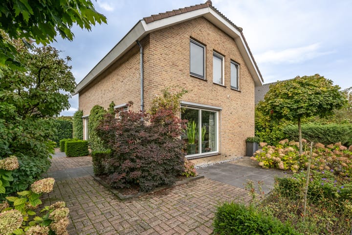 Foto 39 van Bromelia 12