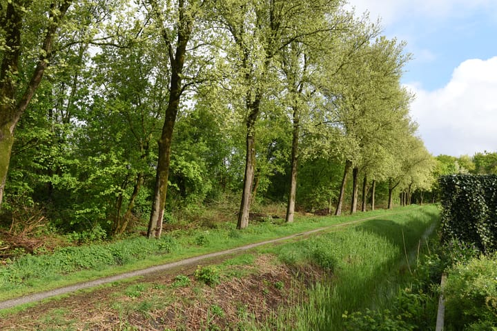 Foto 22 van Roderveld 33