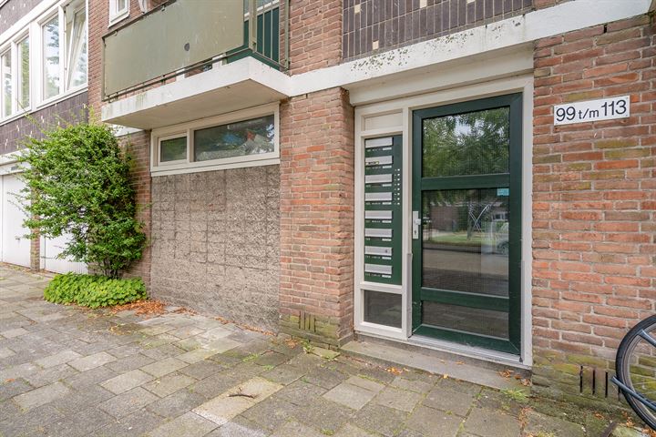 Bekijk foto 31 van Ruslandstraat 113