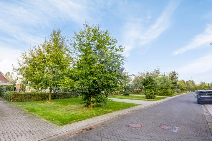 Foto 51 van Waterjuffer 9