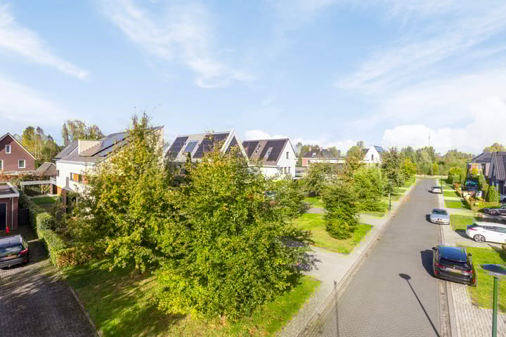 Foto 52 van Waterjuffer 9