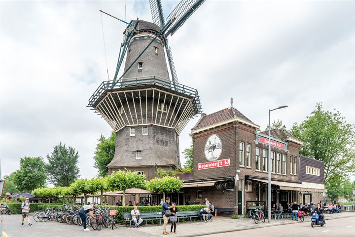 Bekijk foto 43 van Veembroederhof 167