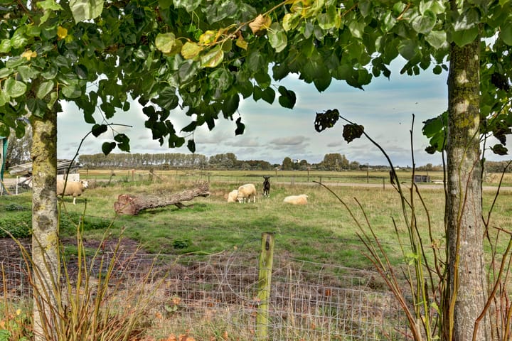 Photo 33 of Moleneind 2