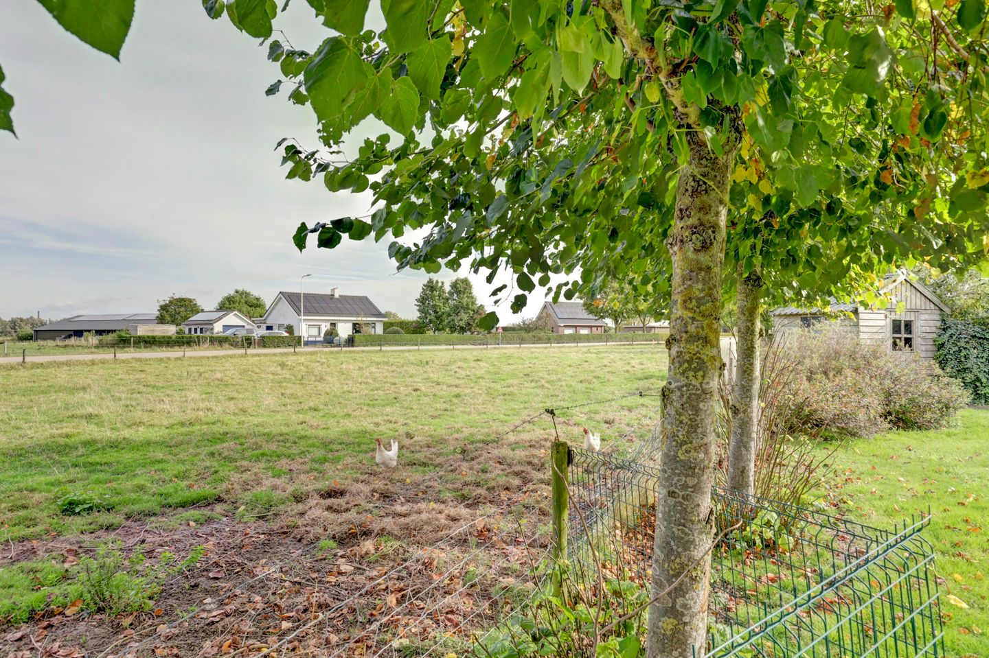 Foto 34 van Moleneind 2