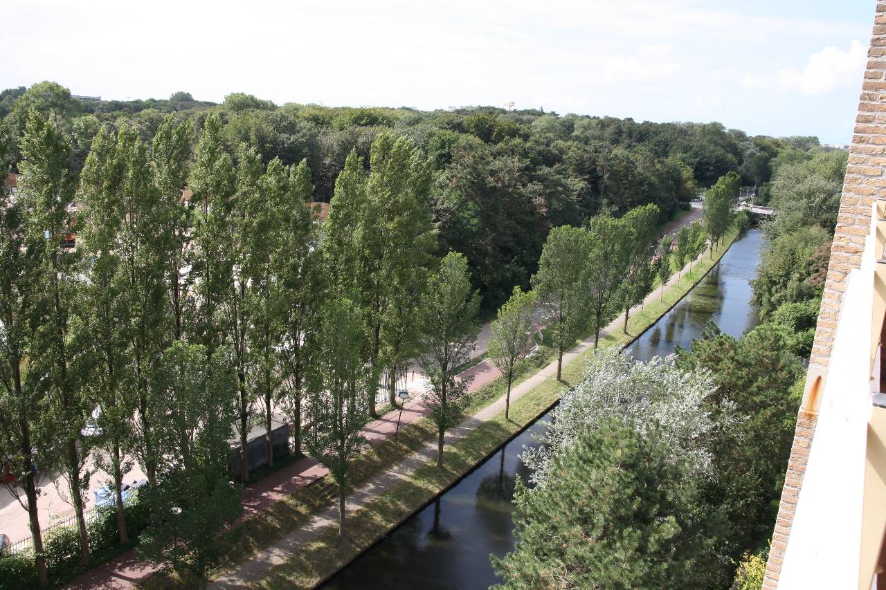 Photo 21 of Nieuwe Parklaan 24-B