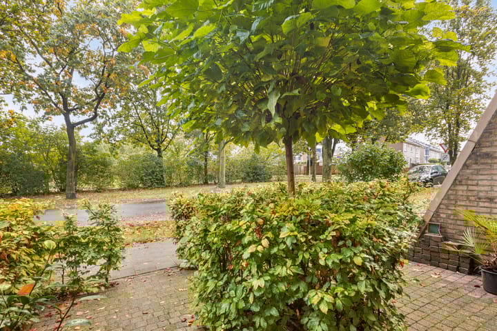 Photo 35 of De Schoren 9