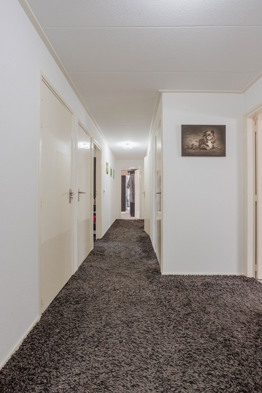 Foto 22 van Heereplein 12