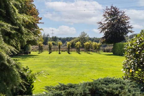 Waalstraat 25 secondary image