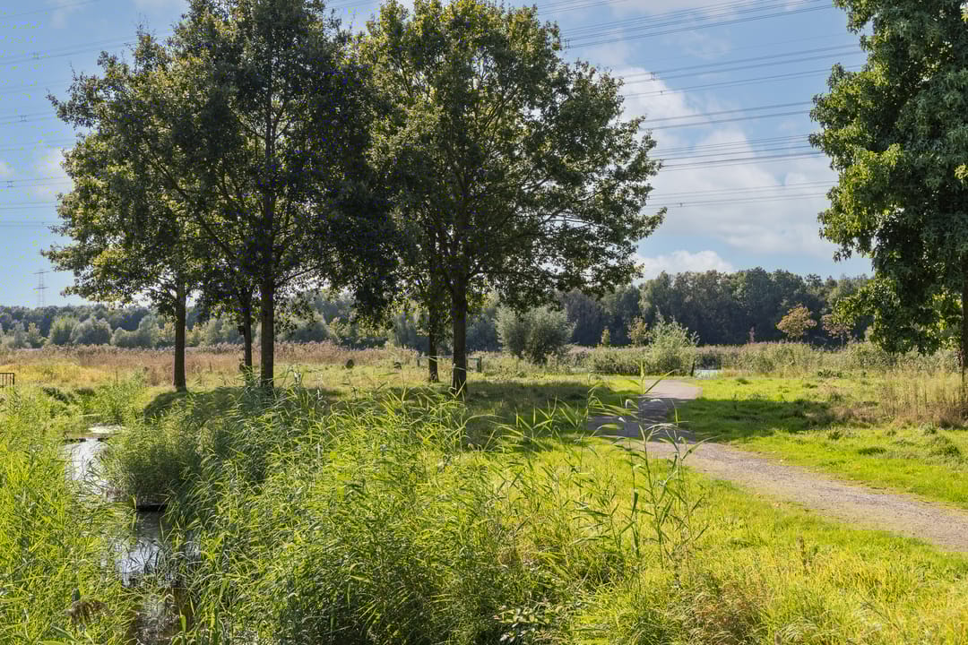 Foto 58 van Waalstraat 25