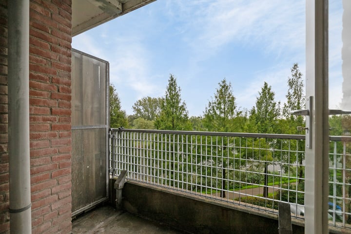 View photo 5 of Vrijheer van Eslaan 231