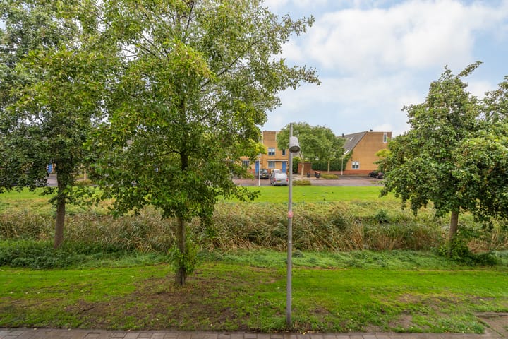 Foto 38 van Buitenhof 19