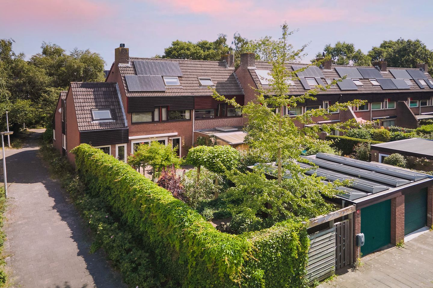 Foto 1 van Heelblaadjespad 9