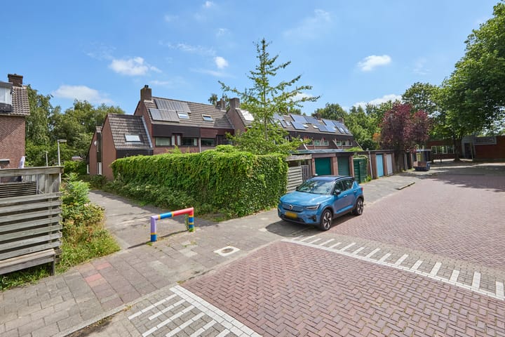 Foto 5 van Heelblaadjespad 9