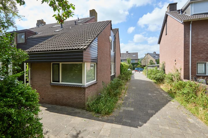 Foto 6 van Heelblaadjespad 9