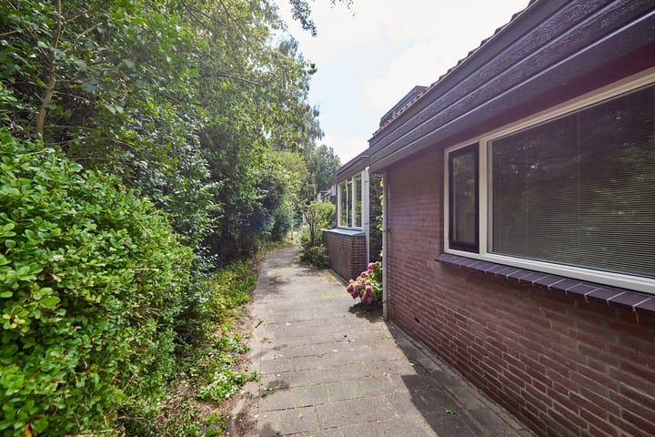 Foto 7 van Heelblaadjespad 9