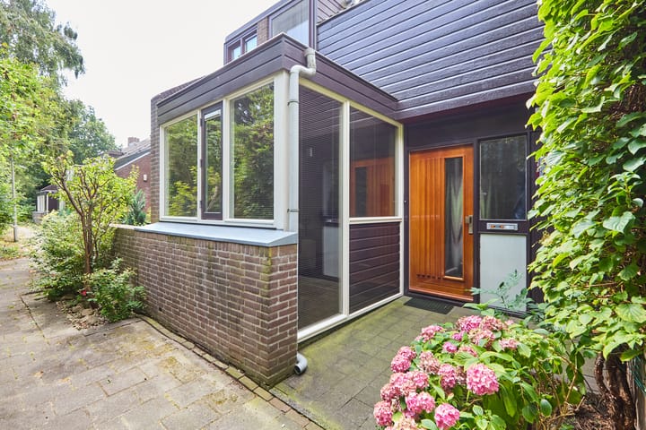 Foto 8 van Heelblaadjespad 9