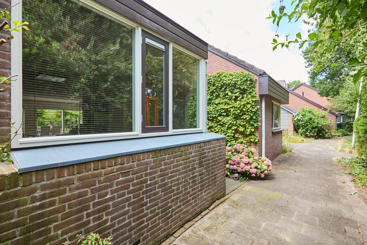 Foto 9 van Heelblaadjespad 9